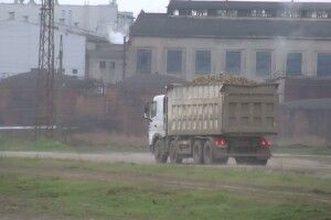 На Волині завершився збір цукрових буряків: як вродили і скільки коштує цукор
