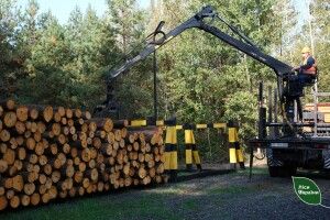 Волинські та Рівненські громади отримали  300 мільйонів податку від лісівників