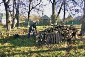 У минулому році більше 400 безробітних жителів Волині залучили до виконання суспільно корисних робіт