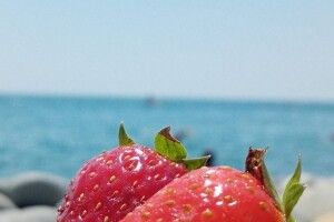 Суд ухвалив вирок парі, яка привселюдно кохалася на пляжі в Одесі
