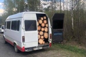 На Волині затримали навантажений краденими деревами бус (Фото)