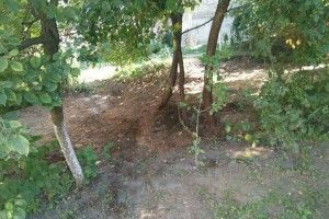 На вулиці Караїмській у Луцьку зачистили територію після «битви із сараями» 