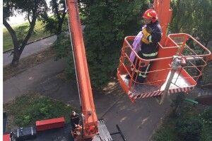 Бійці ДСНС врятували пухнастого верхолаза (Фото)