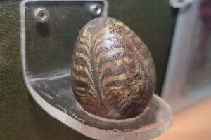 Найдавніші писанки, знайдені на Рівненщині. Який вони мають вигляд