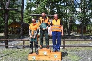 На Волині визначили найкращого звалювальника лісу-2019