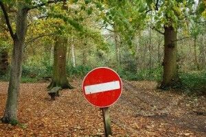 Через пожежі на Волині заборонили в’їзд автотранспорту у ліс