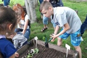 Особливі діти з Луцька висаджували овочеві культури на «міському городі»