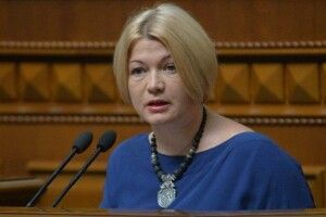 Ірина Геращенко: Закон про ринок землі не можна ухвалювати під час епідемії в турборежимі