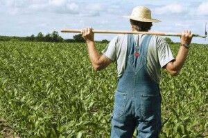 Шмигаль і компанія хочуть вдвічі підняти податок для сільгоспвиробників