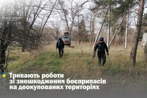 Волинські сапери продовжують розміновувати деокуповані території 