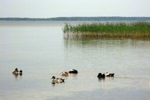 Погода на неділю, 23 серпня: на Лаврентія ще встигнете покупатися