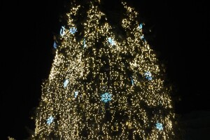 Урочисто запалили головну ялинку Луцька