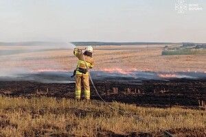 На Волині рятувальники продовжують боротися з займаннями сухої рослинності та торфу