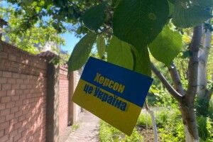 На Херсонщині партизанський рух виявив мережу зрадників 