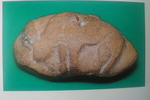 У колишній райцентр на Волині з’їхалися науковці, щоб побачити зображення оленя на камені з 18–13 тис. до н.е. 