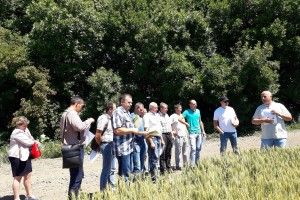 На Волині створюється перший сільськогосподарський обслуговуючий кооператив виробників картоплі