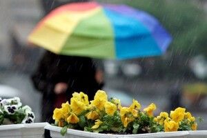 На Західну Україну насуваються зливи 
