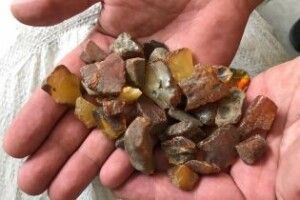 Ще не зароблені «бурштинові» гроші вже поділили