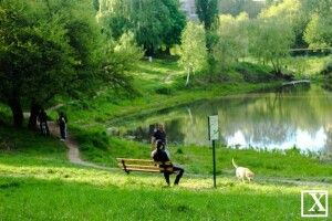 Скоро викосять траву: коли в Луцьку почнуть оновлювати парк імені 900-річчя