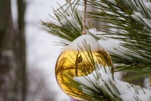У минулому році на Волині було зафіксовано 13 температурних рекордів
