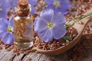 На Поліссі будуватимуть льонозавод