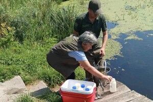 На Волині екоінспектори досліджують забруднену воду річки Луга