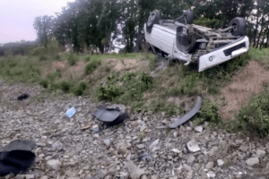 Жінка з двома дітьми потрапила у ДТП через кліща (Фото)