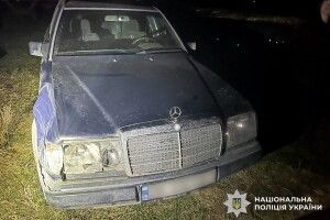 «Злякалася і втекла»: на Рівненщині знайшли водійку, яка збила оленя