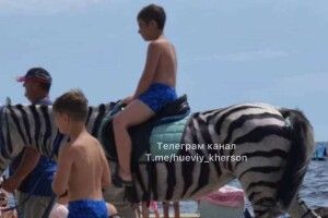 Бездушні підприємці пофарбували коня в зебру і змусили працювати біля моря (Фото, відео)