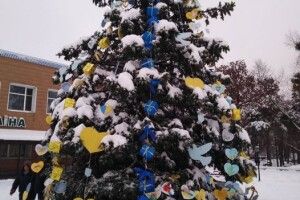 У громаді на Волині похвалилися ялинкою Перемоги
