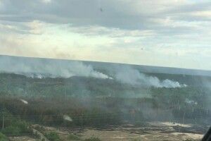 Пожежу в Чорнобилі все ще не загасили
