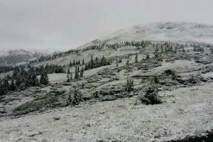 У Карпатах через сніг і туман евакуюють дитячий табір