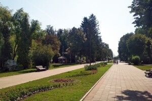 У Центральному парку планують будівництво громадської вбиральні