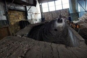 У півтора мільйона обійдеться музей для унікального човна у Маневичах