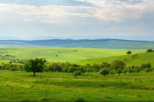У Шацькому районі розслідують факт самовільного зайняття підприємством майже 387 га земель