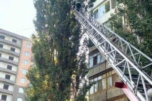 З височезної тополі бійці ДСНС зняли маленьке кошеня (фото)