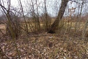 На Рівненщині жінка знайшла в кущах зв’язану дитину з заклеєним ротом
