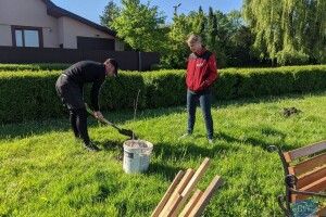 У Володимирі-Волинському хлопець, який понищив дерева, посадив нові