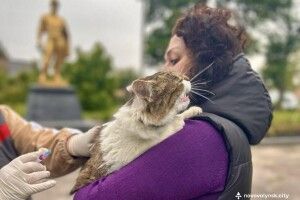 У селищі на Волині проведуть безкоштовну вакцинацію тварин проти сказу
