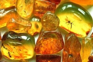 Суд виніс вирок чоловіку, якого затримали з багажем бурштину на Волині