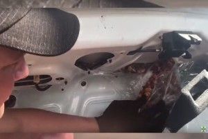 Майже 11,5 кг виробів з бурштину не потрапили до Польщі (Відео)