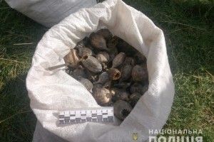 У Маневицькому районі поліція вилучила наркотики  