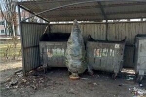 А ви вже викинули ялинку? Жителі Рівного завершують святкування новорічних свят (Фотофакт)