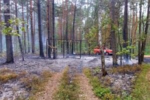 У Луцькому районі невідомі підпалили ліс