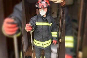У  міське помешкання  заповзла змія
