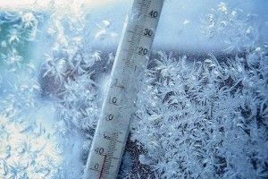 На Волинь сунуть морози