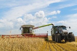 Волинь завершила збирати ранні зернові