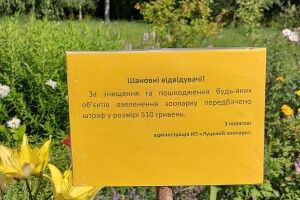 Дама з кавалером нарвали букет лаванди в Луцькому зоопарку (Фото)