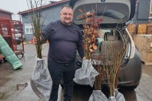 Волиняни поділилися теплом та лісом із херсонцями