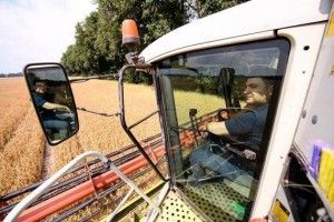 Він теж працює: Прем'єр Гройсман наївся козячого сиру і всівся за кермо комбайна